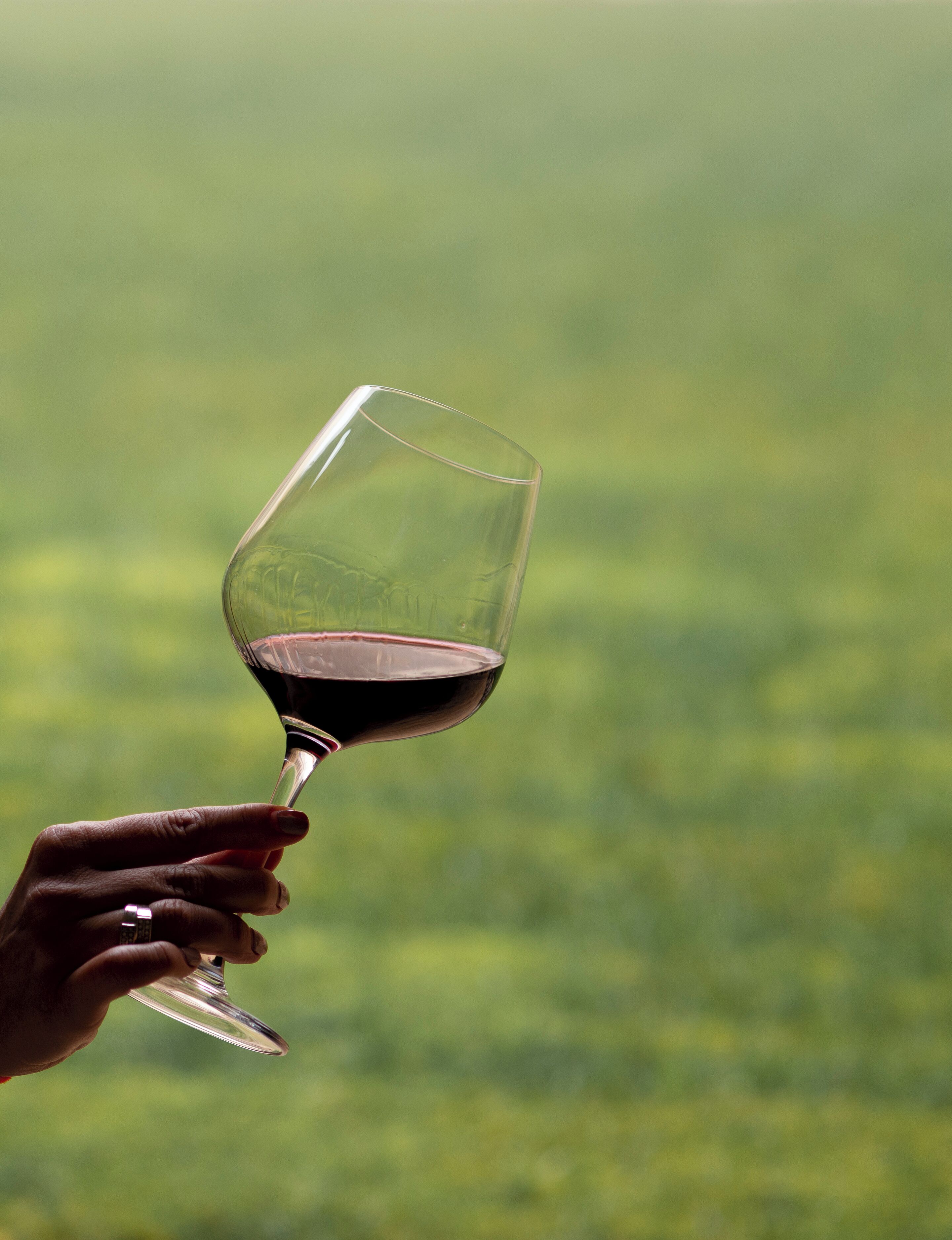 A hand holding a wine glass with a blurred green background.