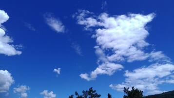 Cielo azul despejado con algunas nubes y una vista de pinos en la parte inferior.