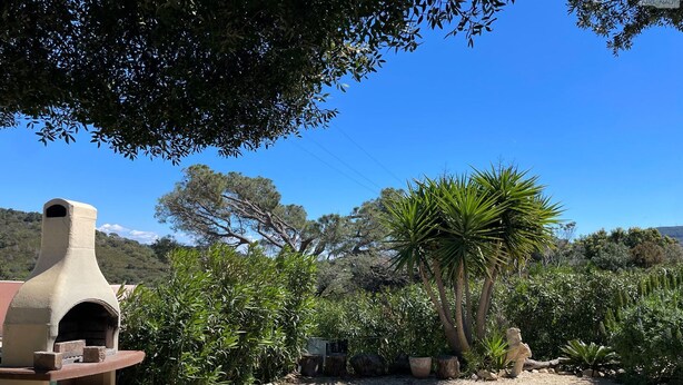 Un'area esterna rustica con un forno in pietra, circondata da ghiaia, alberi e una statua.