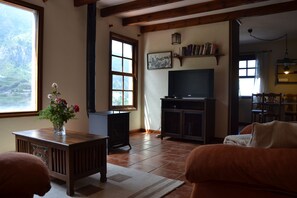 Télévision, cheminée, livres