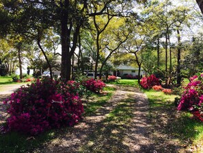 A garden pathway leading to a building with a white exterior, surrounded by lush greenery and flowering bushes.