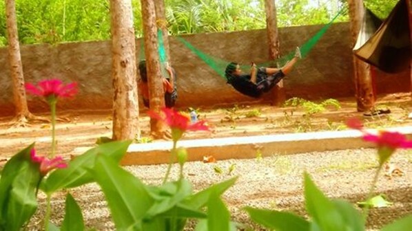 Enceinte de l’hébergement