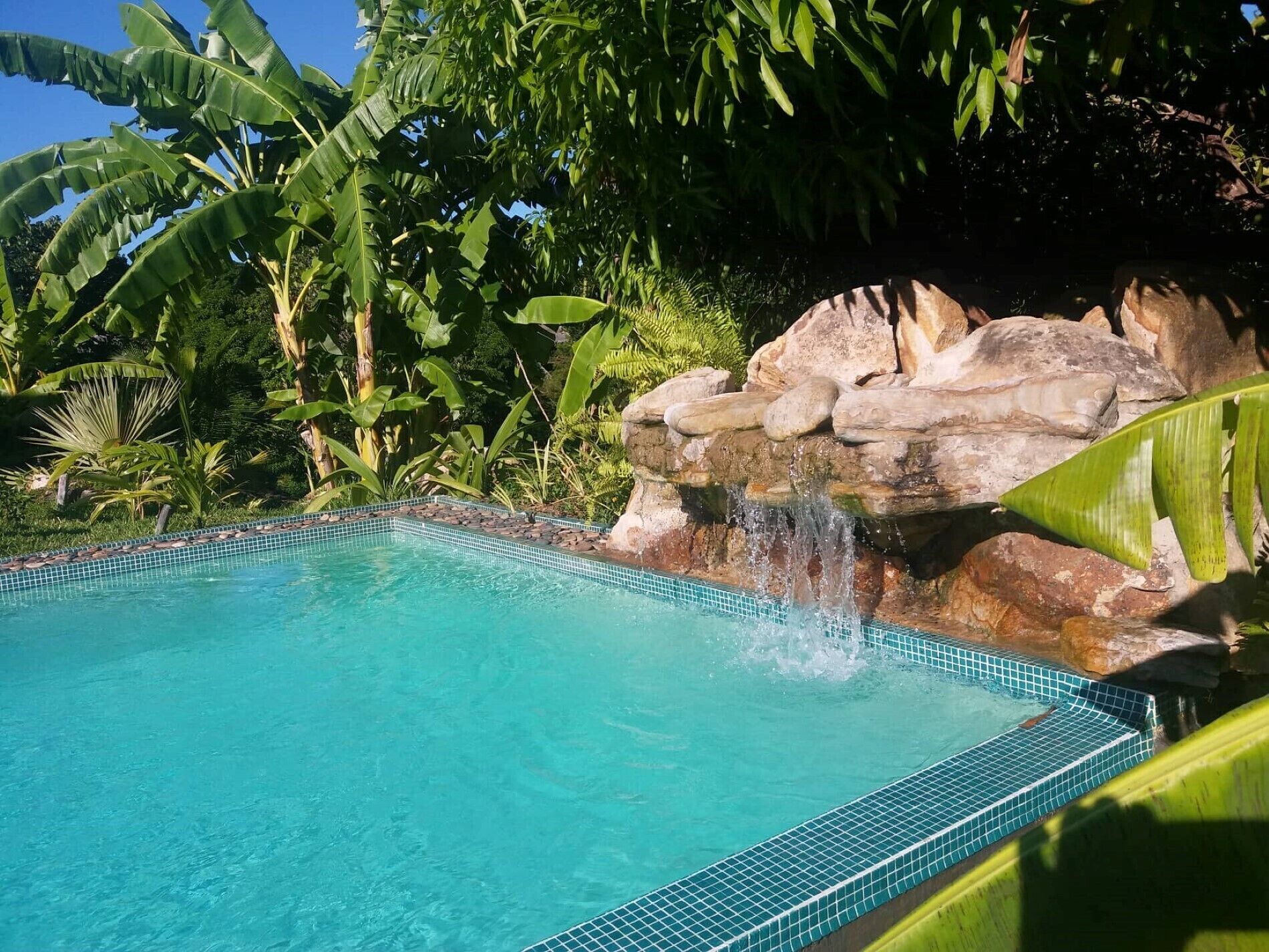 A clear blue pool with a waterfall feature surrounded by lush tropical foliage.