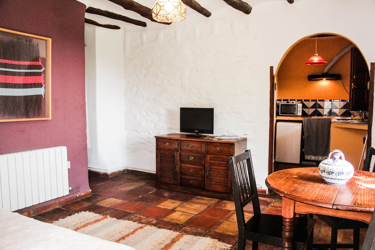 A cozy room with a dining table, chairs, a television on a wooden cabinet, a microwave in a kitchen area, and a decorative vase on the table.