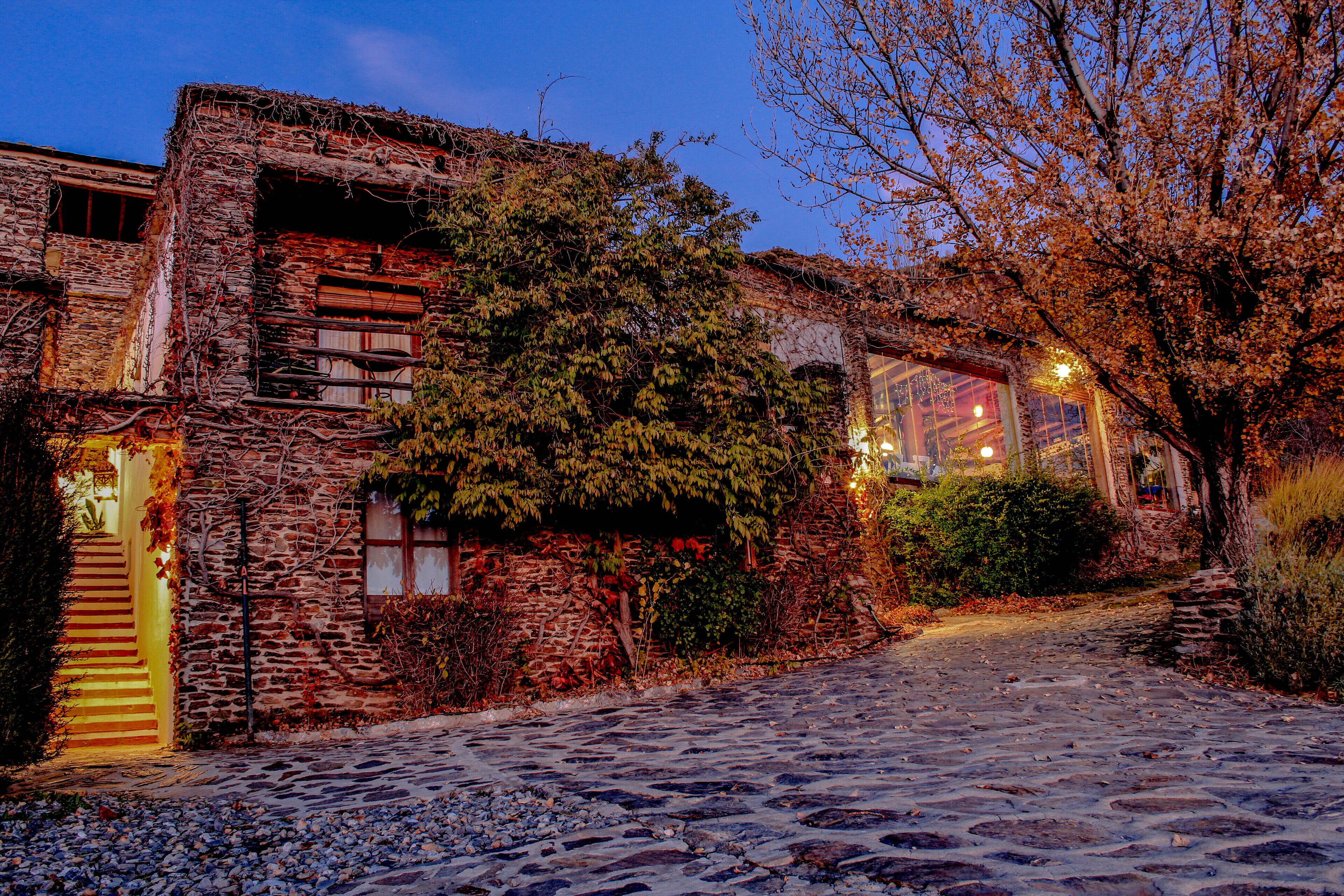 Una calle empedrada que conduce a un edificio rústico con muros cubiertos de hiedra y una escalera de madera.