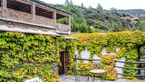 A stone patio with a chair and table, surrounded by a wall covered in green ivy. - Casa Rural Catifalarga Capileira (Capileira)