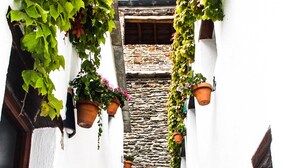 A staircase with white walls and red brick steps leading to a stone-tiled area. - Casa Rural Catifalarga Capileira (Capileira)