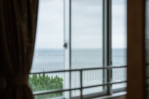 Vista a través de una ventana con persianas, mostrando una masa de agua y una costa lejana con árboles.
