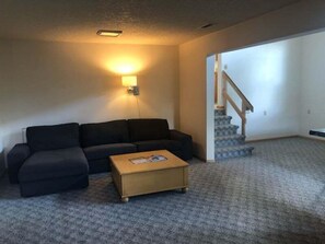 TV, fireplace, DVD player, ping pong