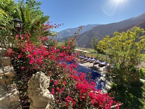 A pool area with lounge chairs, surrounded by vibrant pink flowers and a stone lion statue. - Cabañas Caballieri (Paiguano)