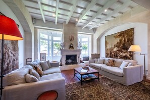 Télévision, cheminée, livres, chaîne hi-fi