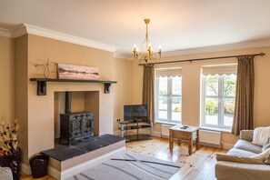 LCD TV, fireplace - Ballinakill Lodge (Moyard)