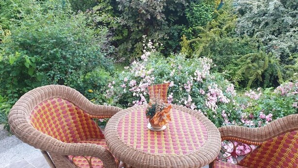 Deluxe Studio | Courtyard view