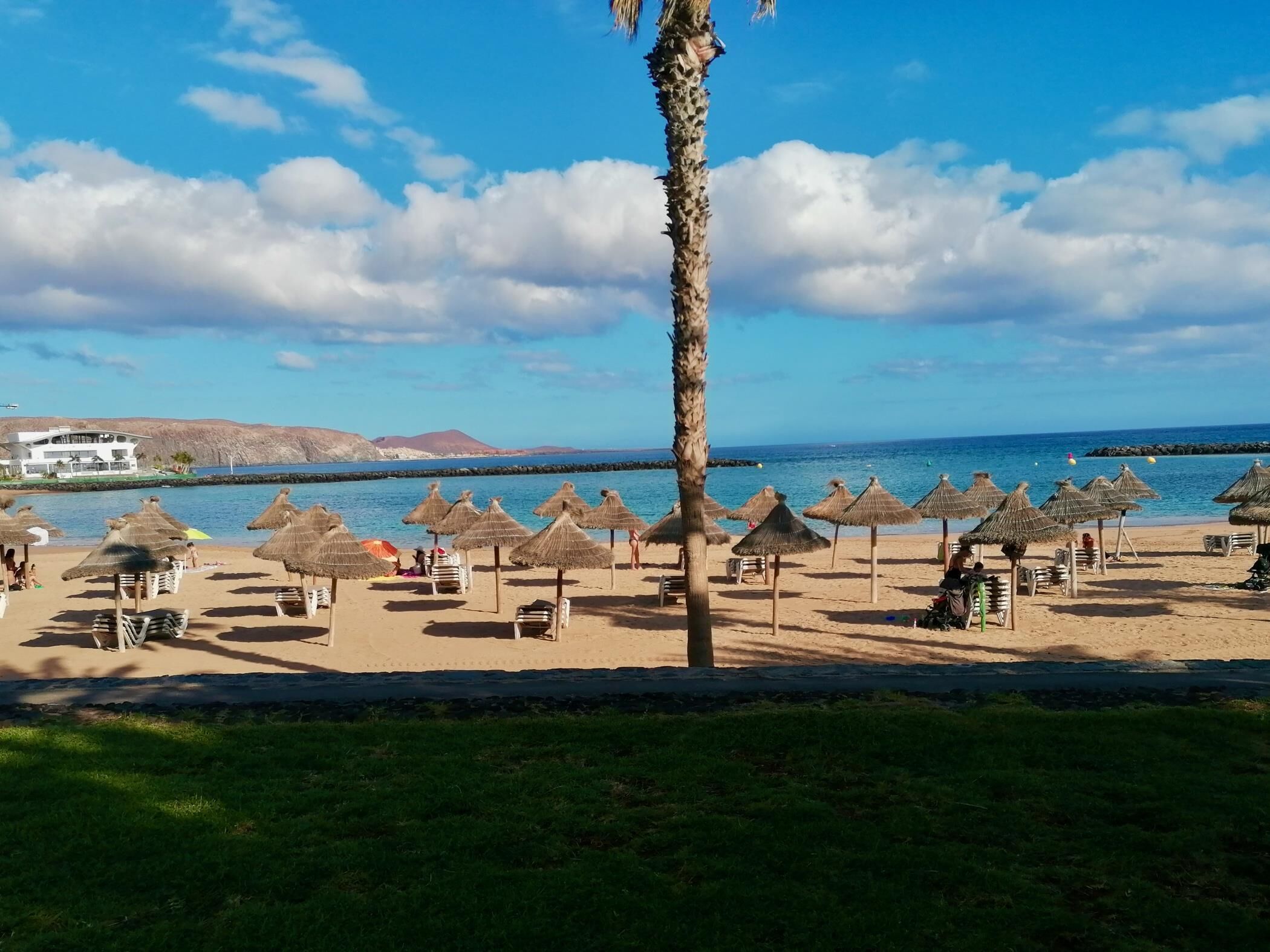 Una playa con sombrillas de paja y sillas, una palmera y un edificio al fondo.