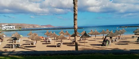 Una playa con sombrillas de paja y sillas, una palmera y un edificio al fondo.
