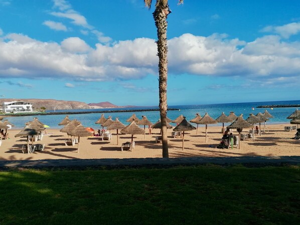 A beach with thatched umbrellas and chairs, a palm tree, and a building in the background.