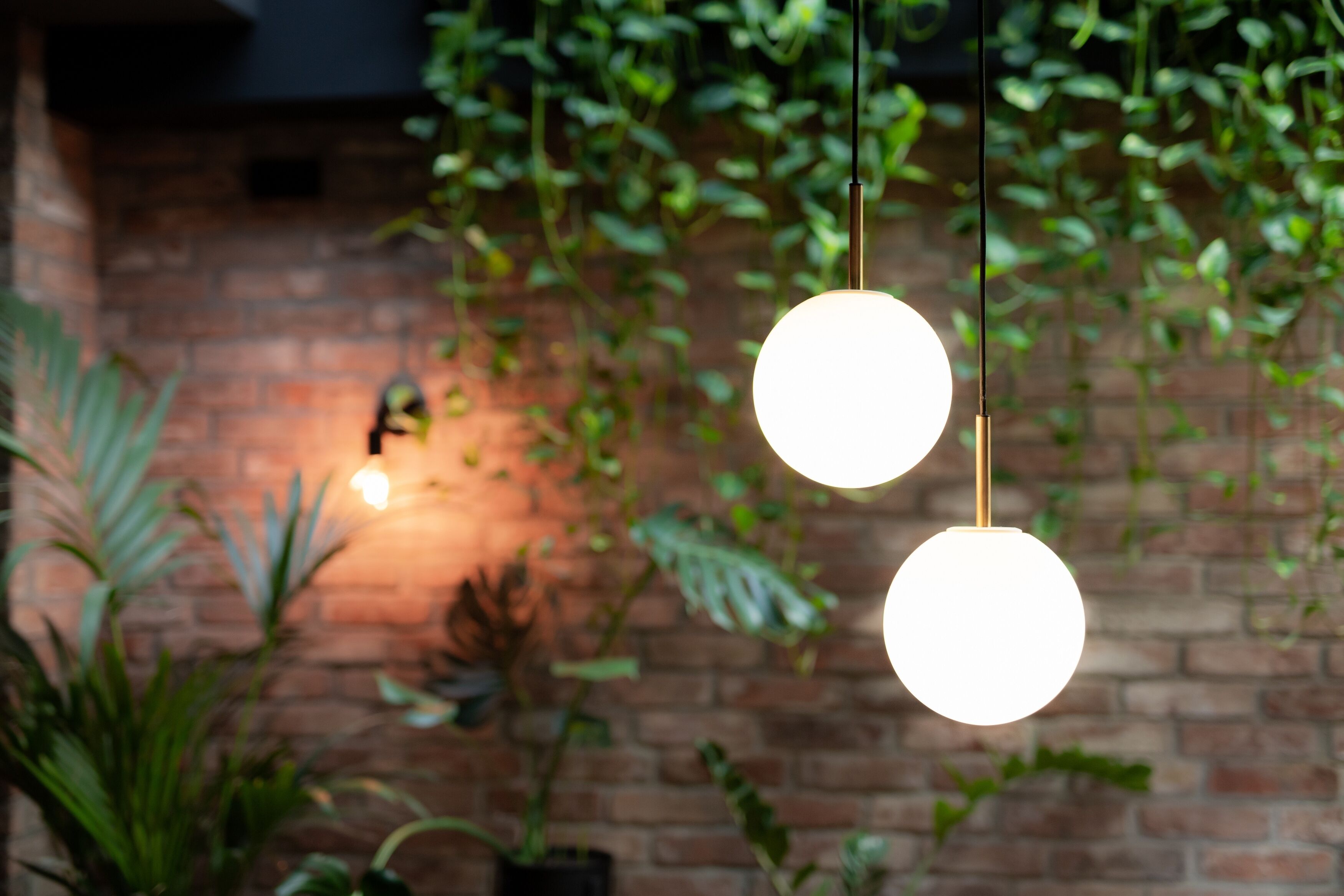 Un luminaire suspendu avec une ampoule sphérique, un mur en briques et un feuillage verdoyant en arrière-plan.