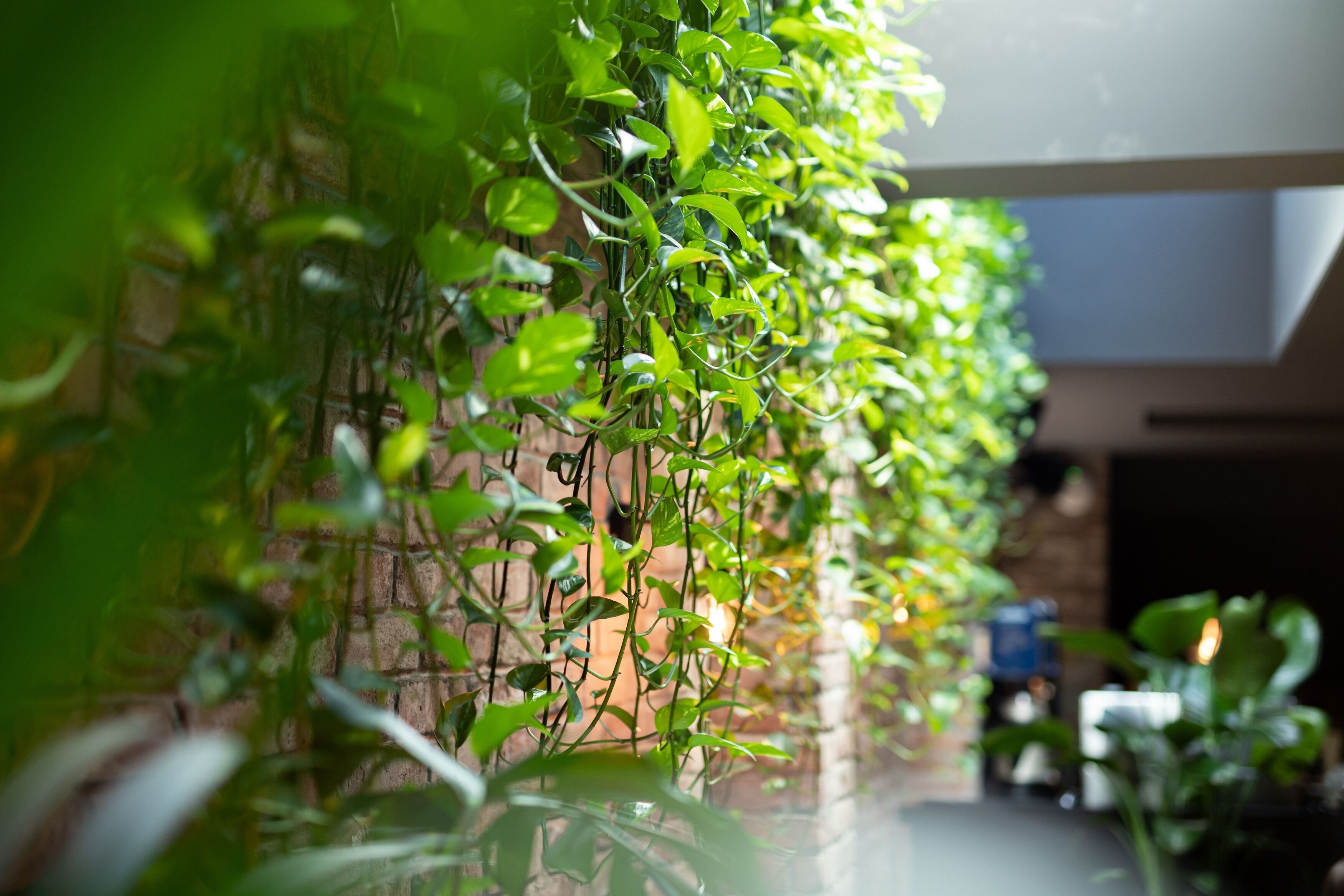 A vertical garden with lush green plants against a brick wall, a glass table in the foreground, and a glimpse of a room with a bed and a nightstand.