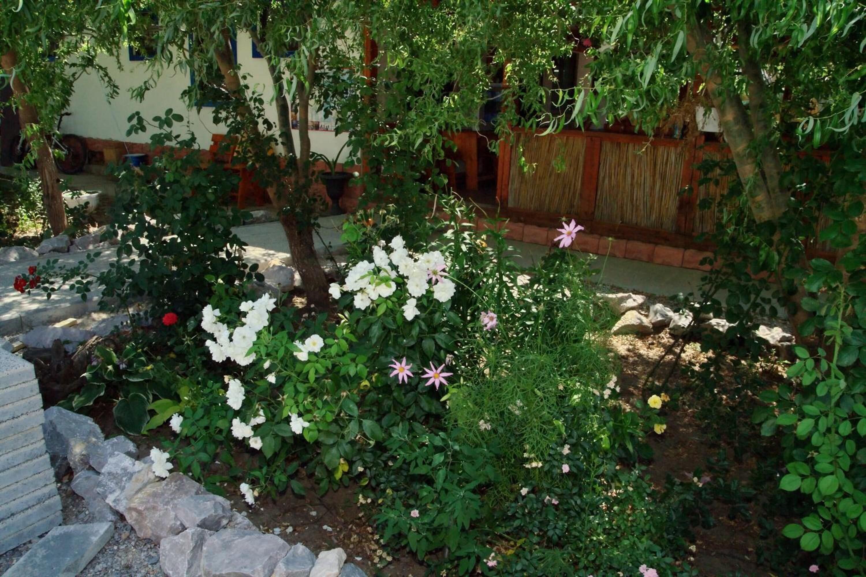 A garden with various flowering plants and trees, a wooden fence, and a stone wall.