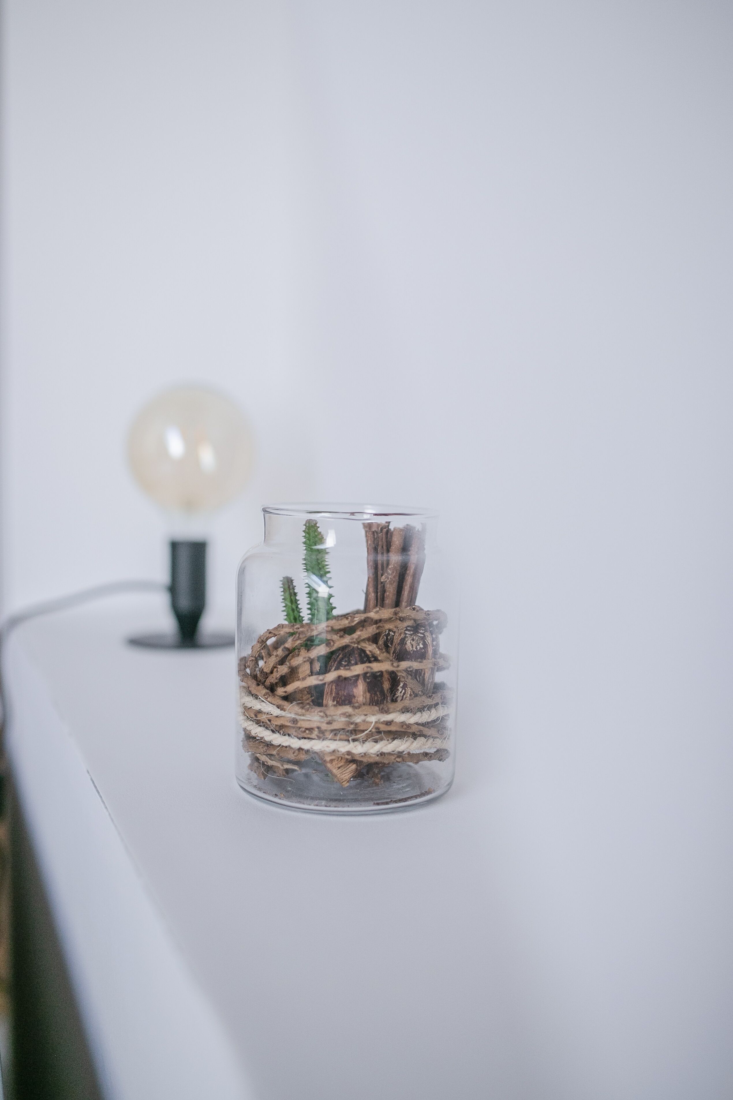 A clear glass vase with a cactus and branches on a white surface.
