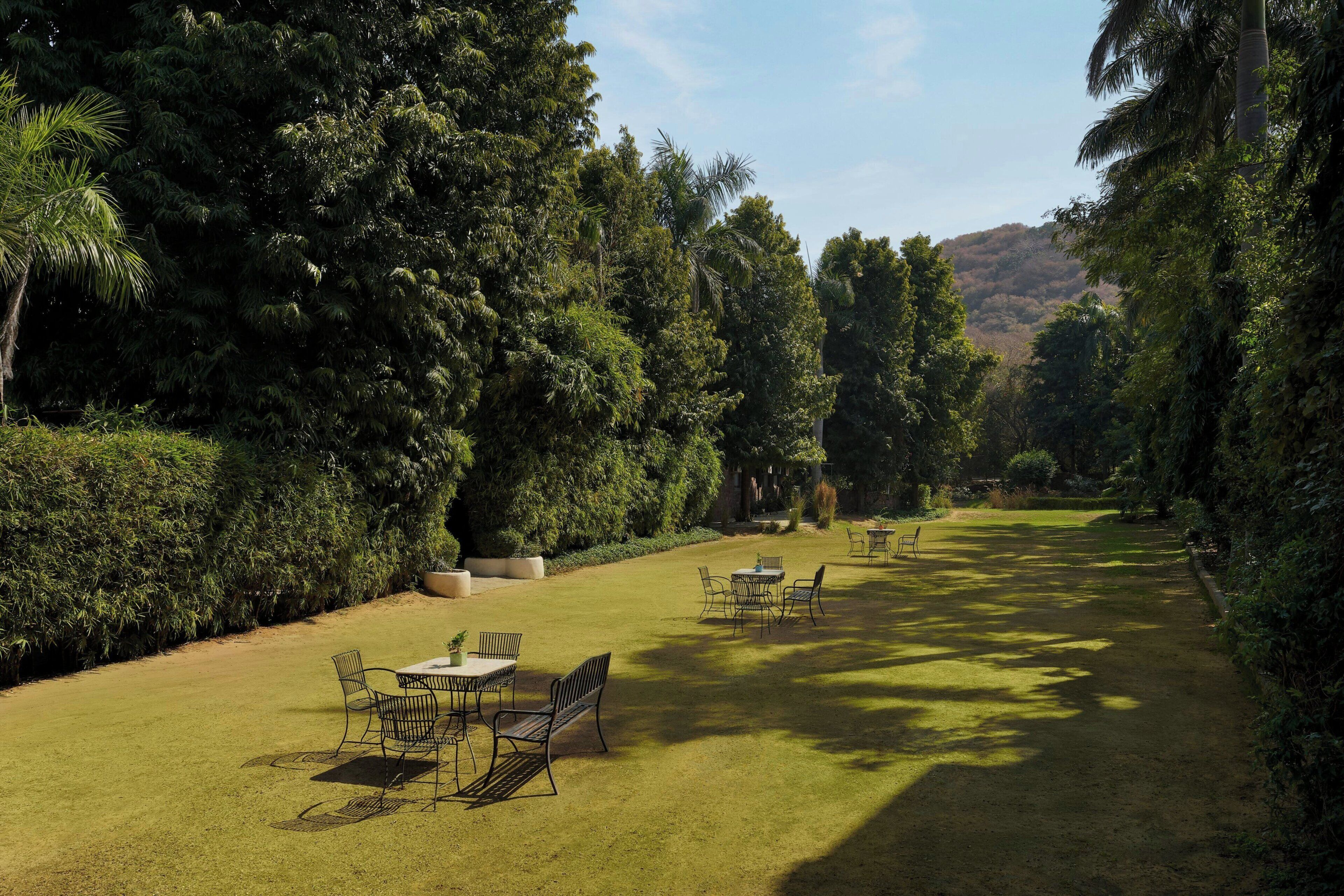 Un jardin bien entretenu, agrémenté de tables et de chaises, entouré d’un feuillage dense et baigné d’un ciel dégagé.