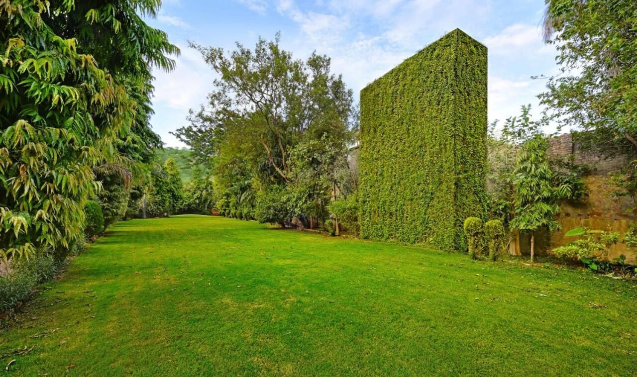 A well-maintained garden with a tall, ivy-covered wall and a neatly trimmed lawn.