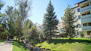Un quartier résidentiel avec un sentier, un petit ruisseau et des arbres.