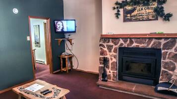 TV, fireplace, DVD player