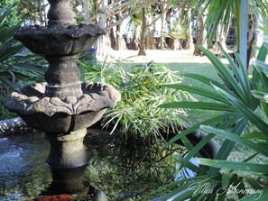 Property grounds - Villa Manapany les bains 2 (Manapany-Les-Bains)