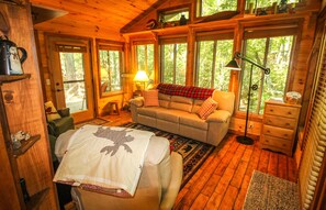 Televisor intel·ligent, llar de foc i reproductor de DVD 