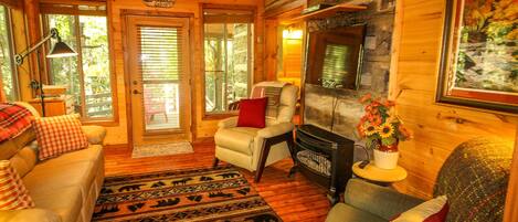 TV connectée, cheminée, lecteur de DVD