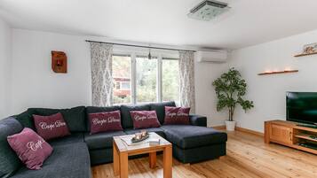 Smart TV, caminetto, lettore DVD