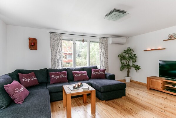 تلفزيون ذكي، مدفأة، مشغل دي في دي