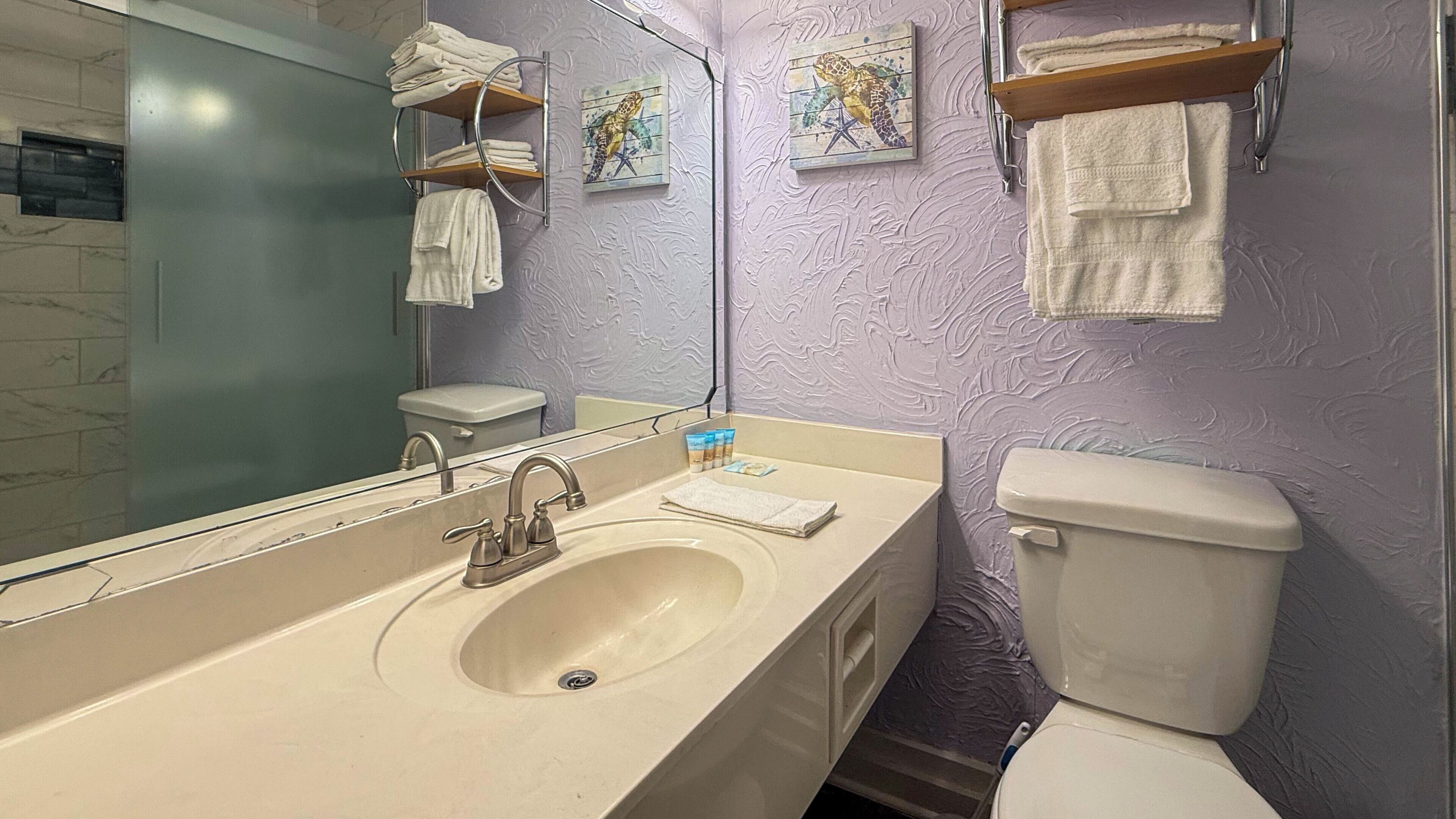 A bathroom with a sink, mirror, toilet, and towel racks.