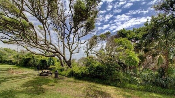 Ein Park mit Picknicktisch und Bänken, umgeben von üppiger Vegetation und Bäumen.