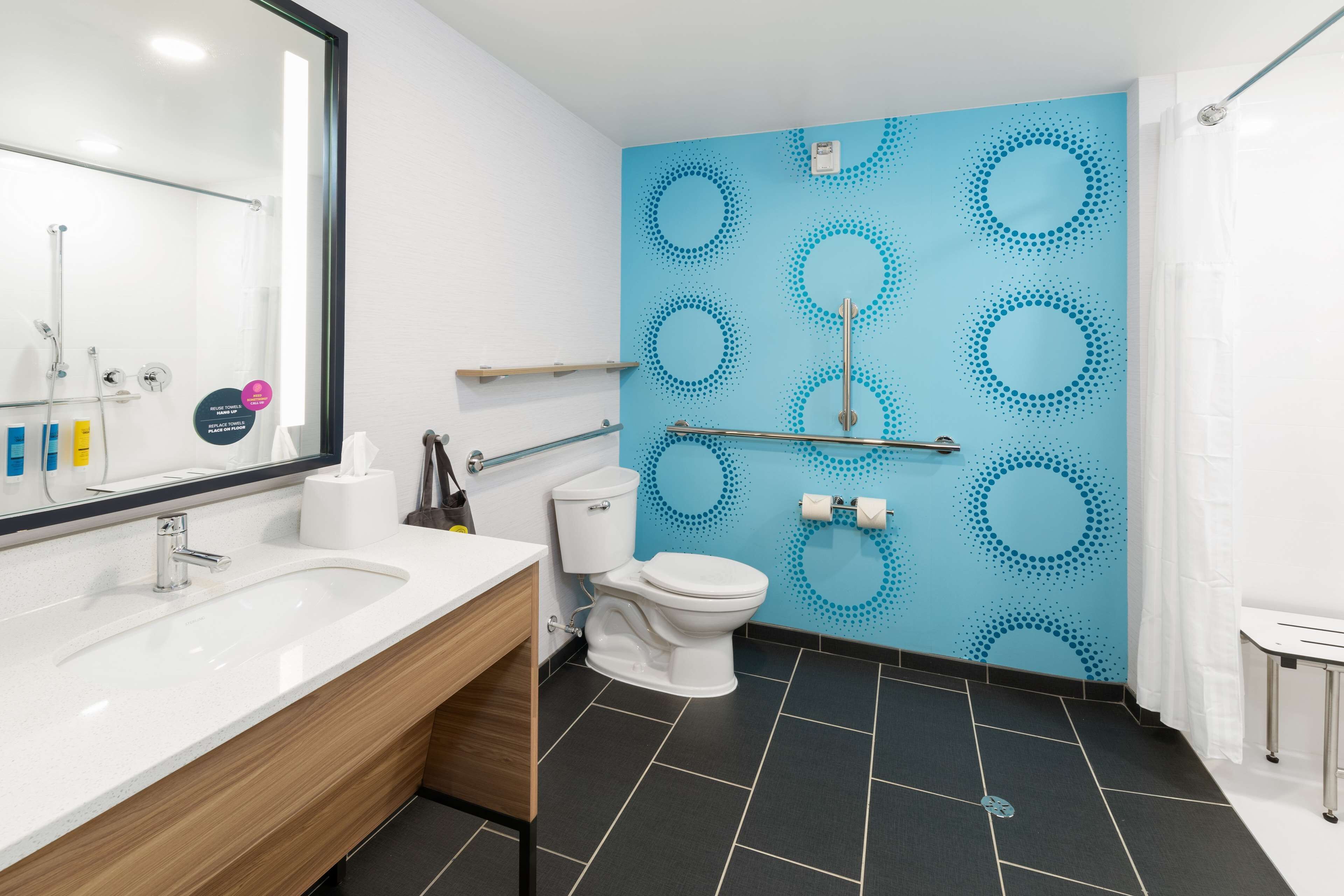 room, 1 king bed, accessible (roll-in shower, mobility & hearing) | bathroom shower