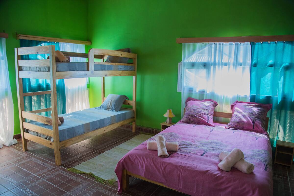 Chambre classique double ou avec lits jumeaux | Rideaux d’obscurcissement, accès au Wi-Fi (inclus), décor unique