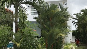 Un edificio moderno rodeado de exuberante vegetación y un sendero pavimentado.