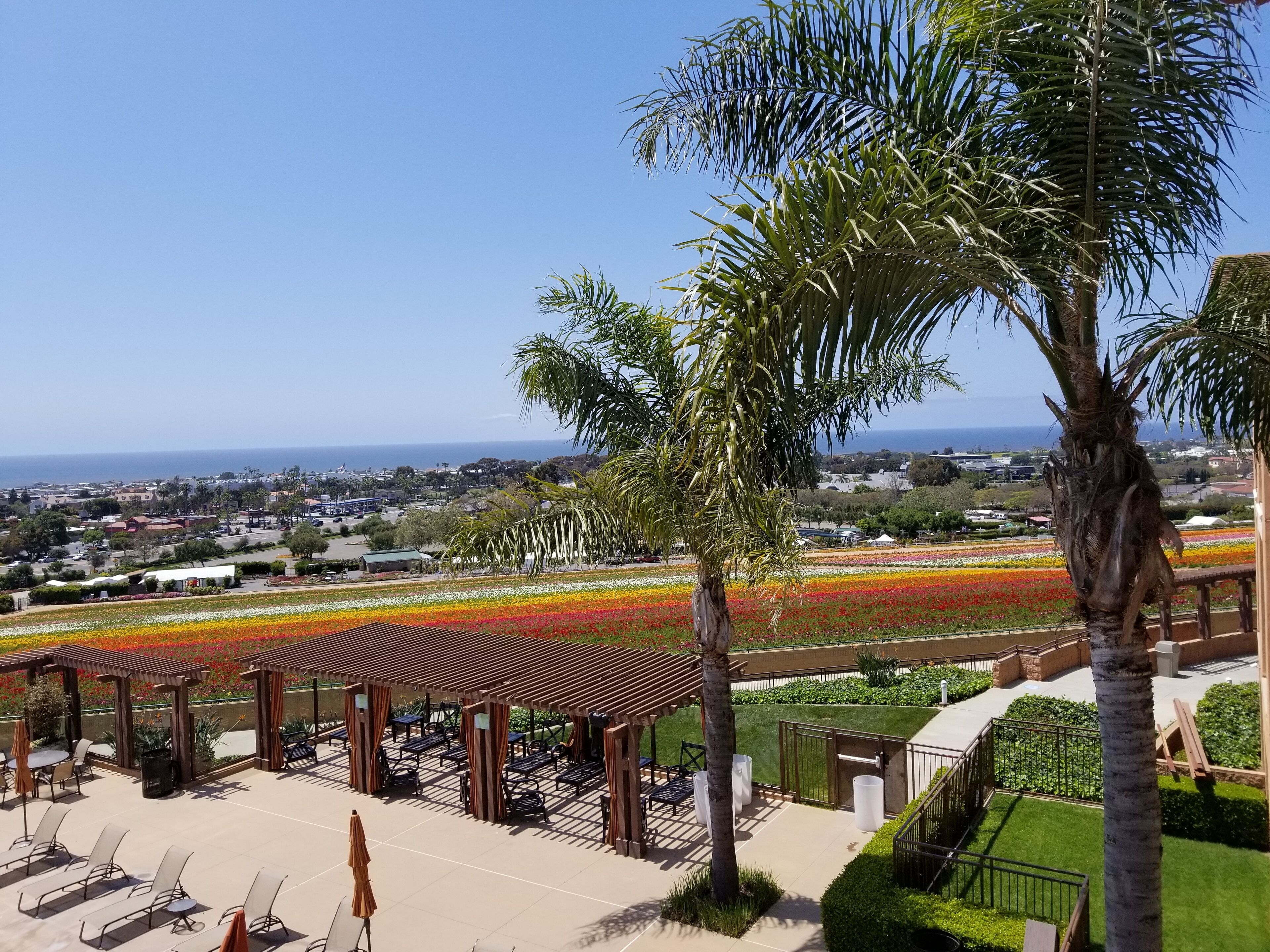 Photo - The Cassara Carlsbad, Tapestry Collection by Hilton