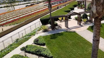 Ein angelegter Garten mit einem Weg, Palmen und Blumenbeeten.
