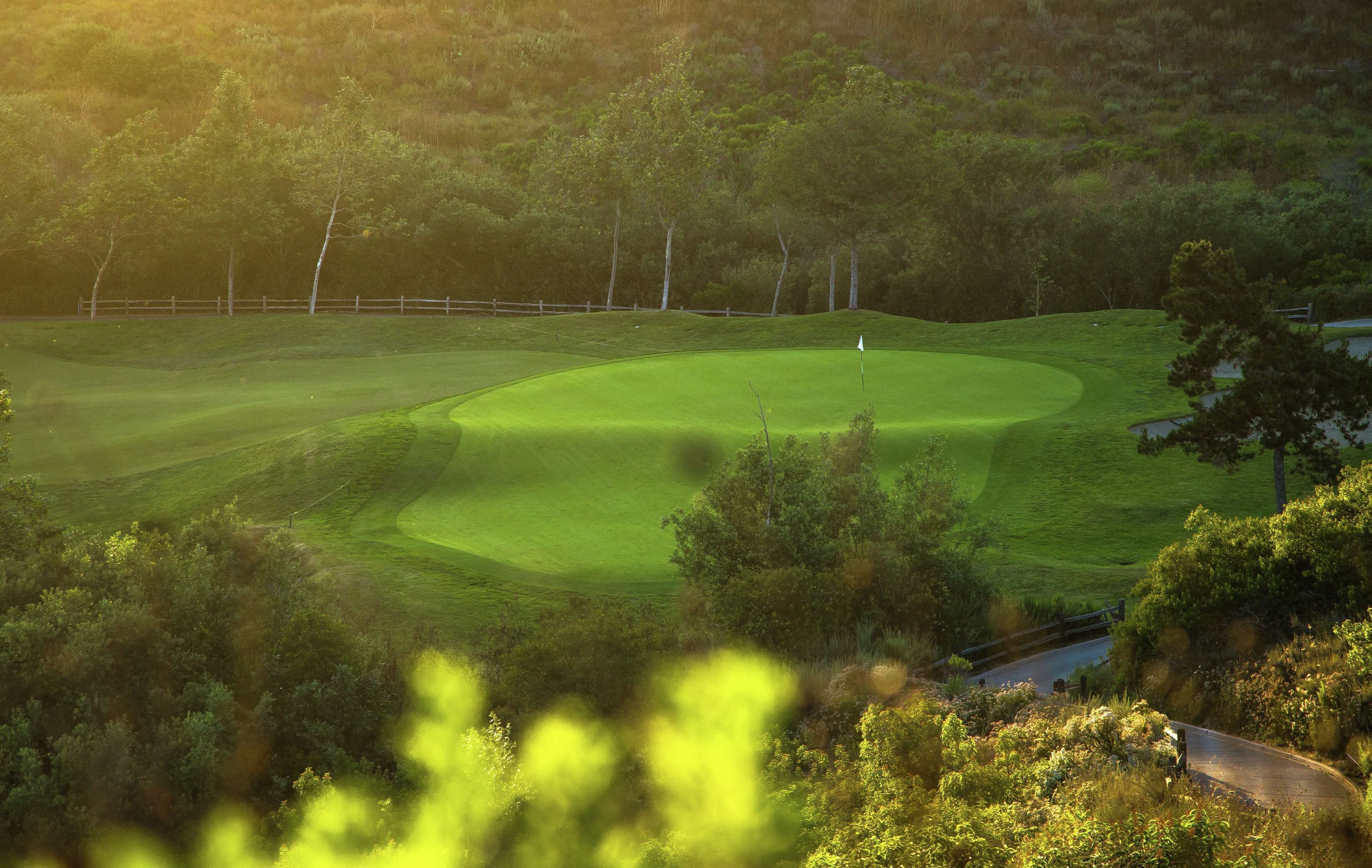 Un terrain de golf avec un drapeau, entouré d’arbres et d’une clôture.