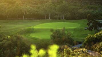 Un terrain de golf avec un drapeau, entouré d’arbres et d’une clôture.