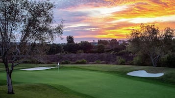 Un campo de golf con búnkeres de arena y un mástil con bandera, rodeado de árboles y arbustos.
