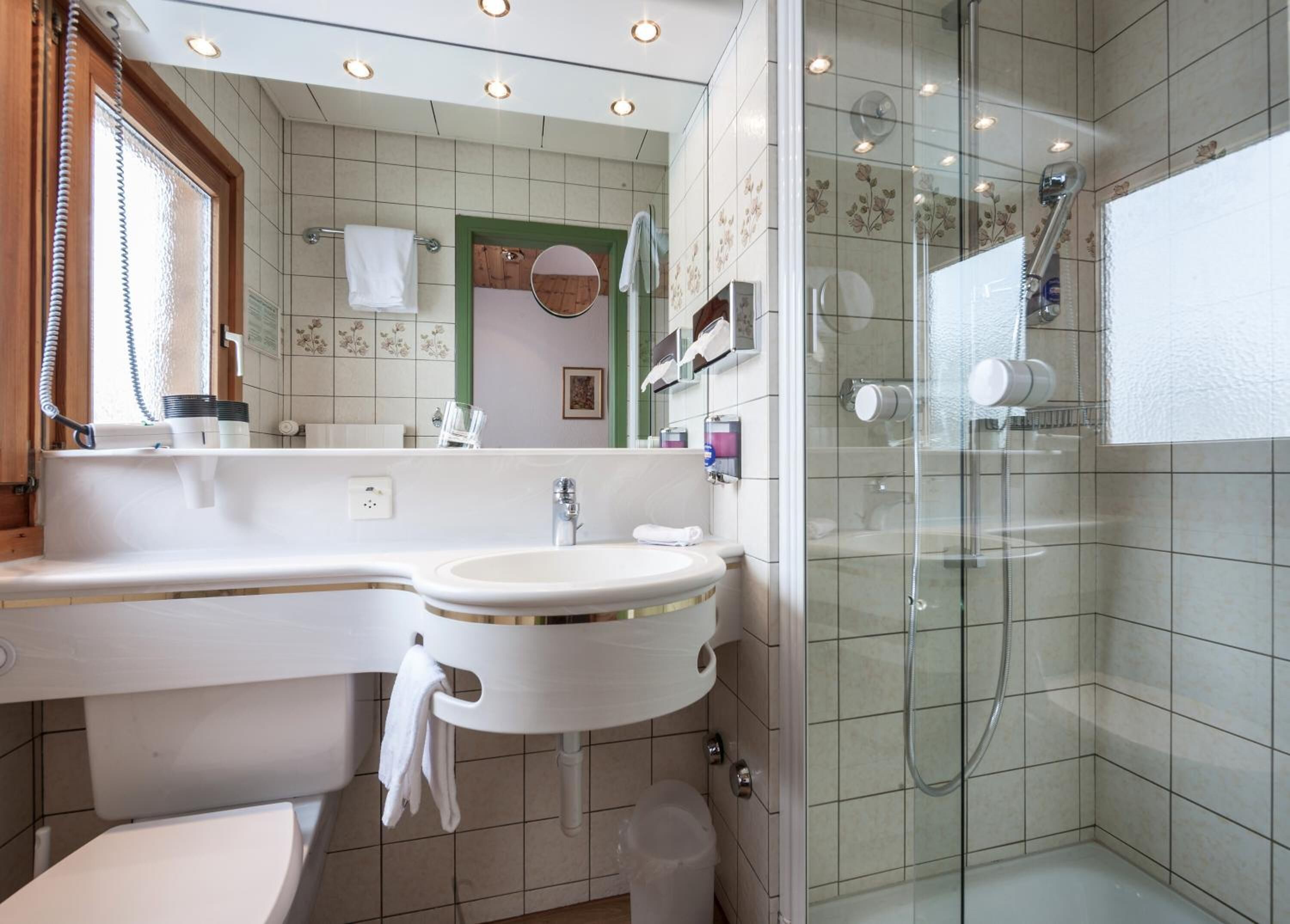 shower, free toiletries, hair dryer, slippers