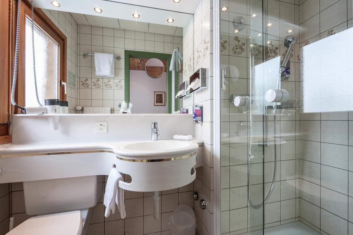 shower, free toiletries, hair dryer, slippers