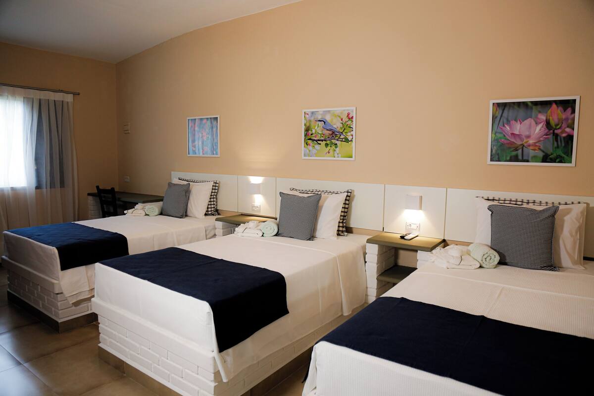 Habitación de hotel con dos camas, un escritorio y una silla. Hay cuadros en las paredes y una ventana con cortinas.