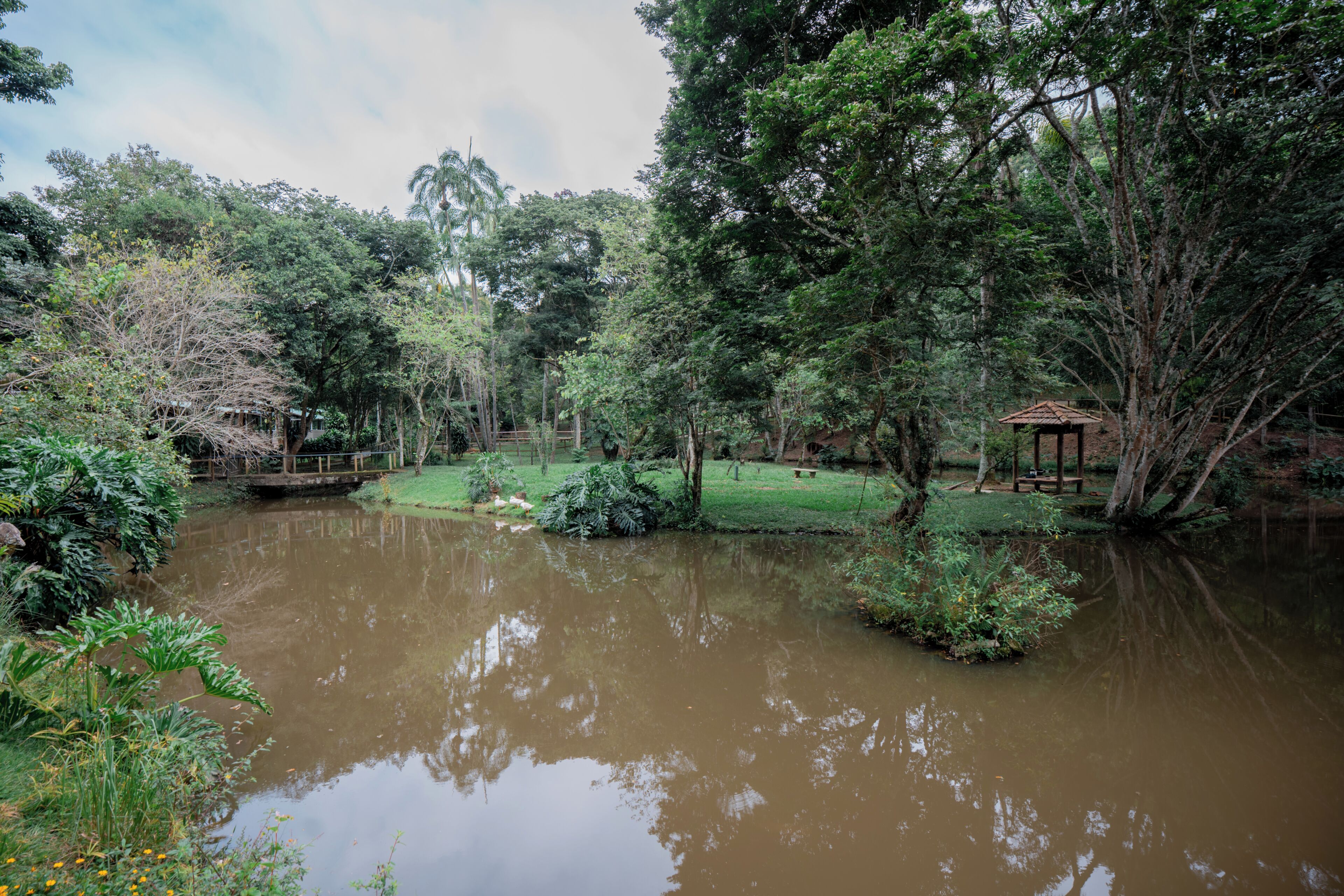 A serene pond surrounded by lush greenery and a gazebo.