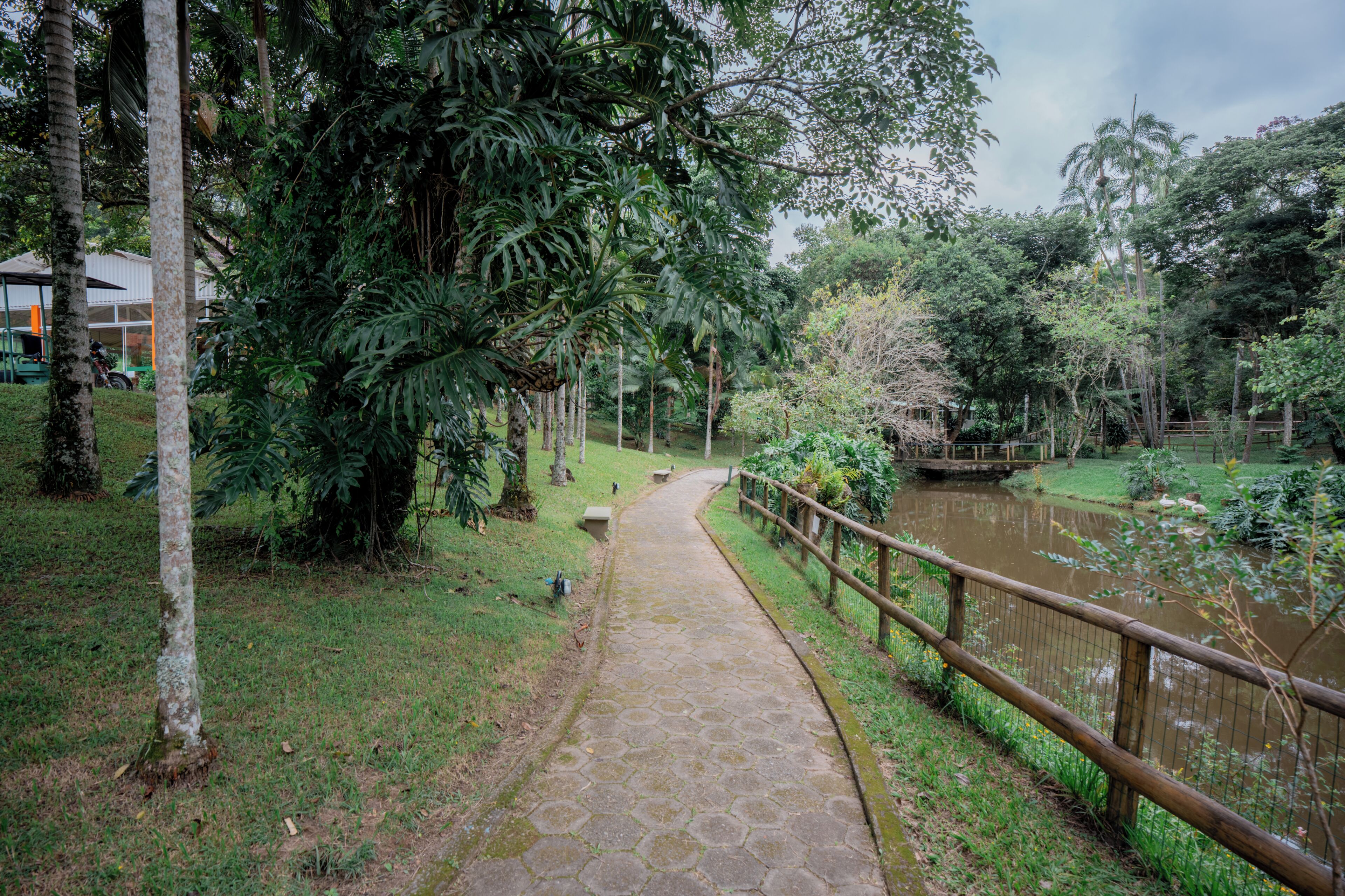 A pathway leading through a lush garden with a wooden fence and a pond.