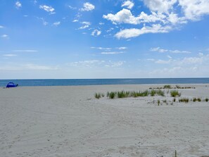 Uma praia com uma tenda e vegetação rasteira.