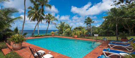 A rectangular swimming pool with a tiled deck, surrounded by palm trees and lounge chairs.